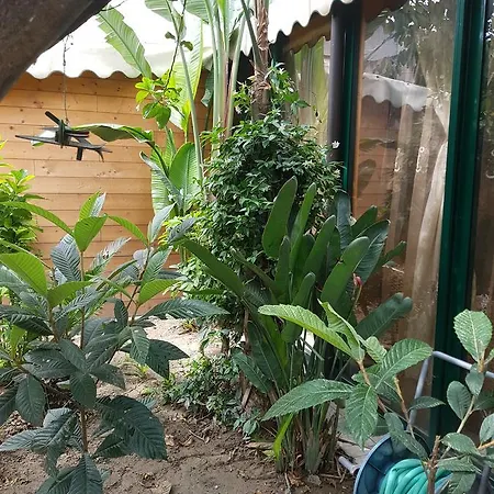 Frühstückspension Marilena Rocca Imperiale